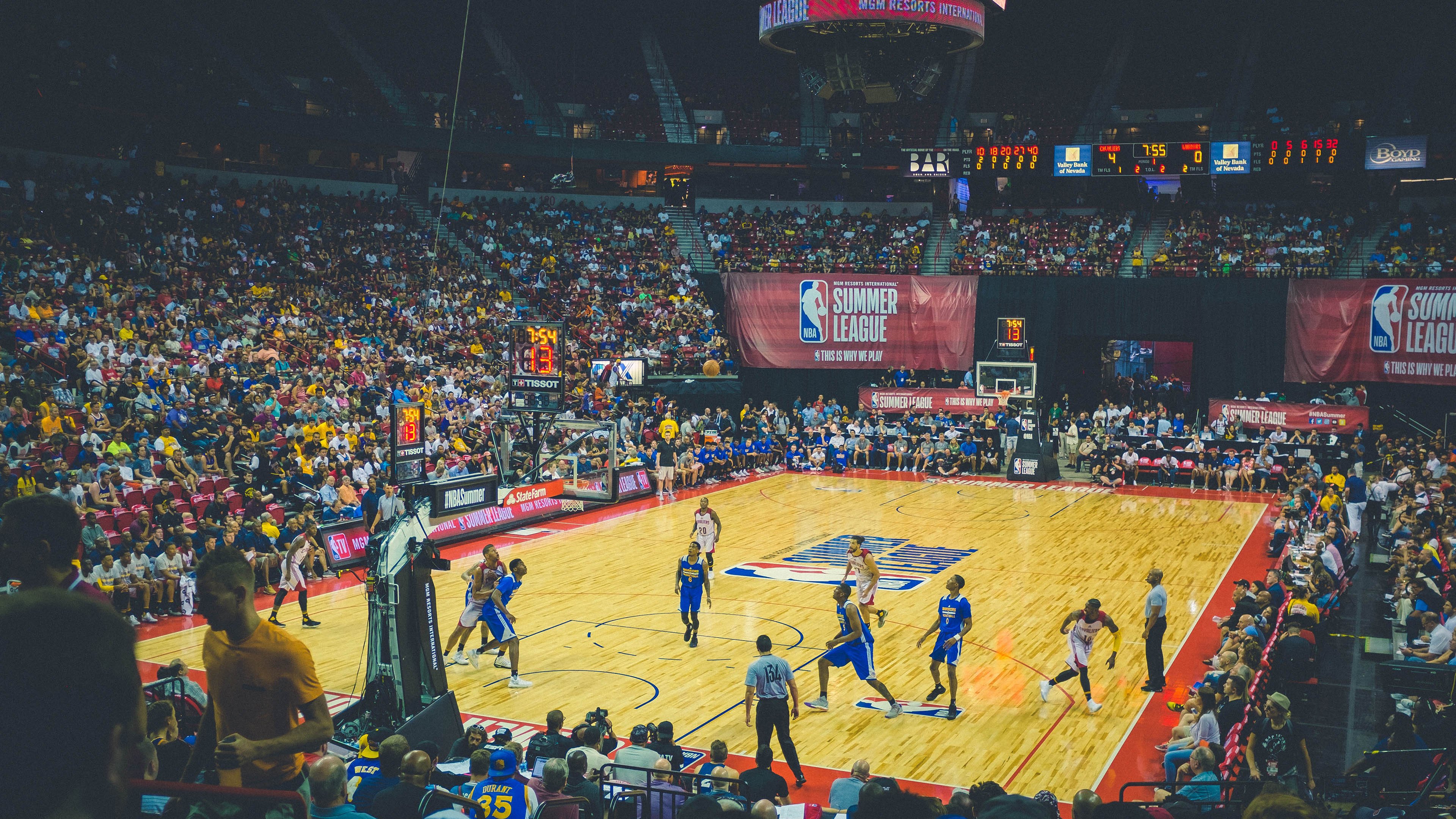 狼王撕碎虎皮，霍勒迪用无解统治力重定义东北虎精神