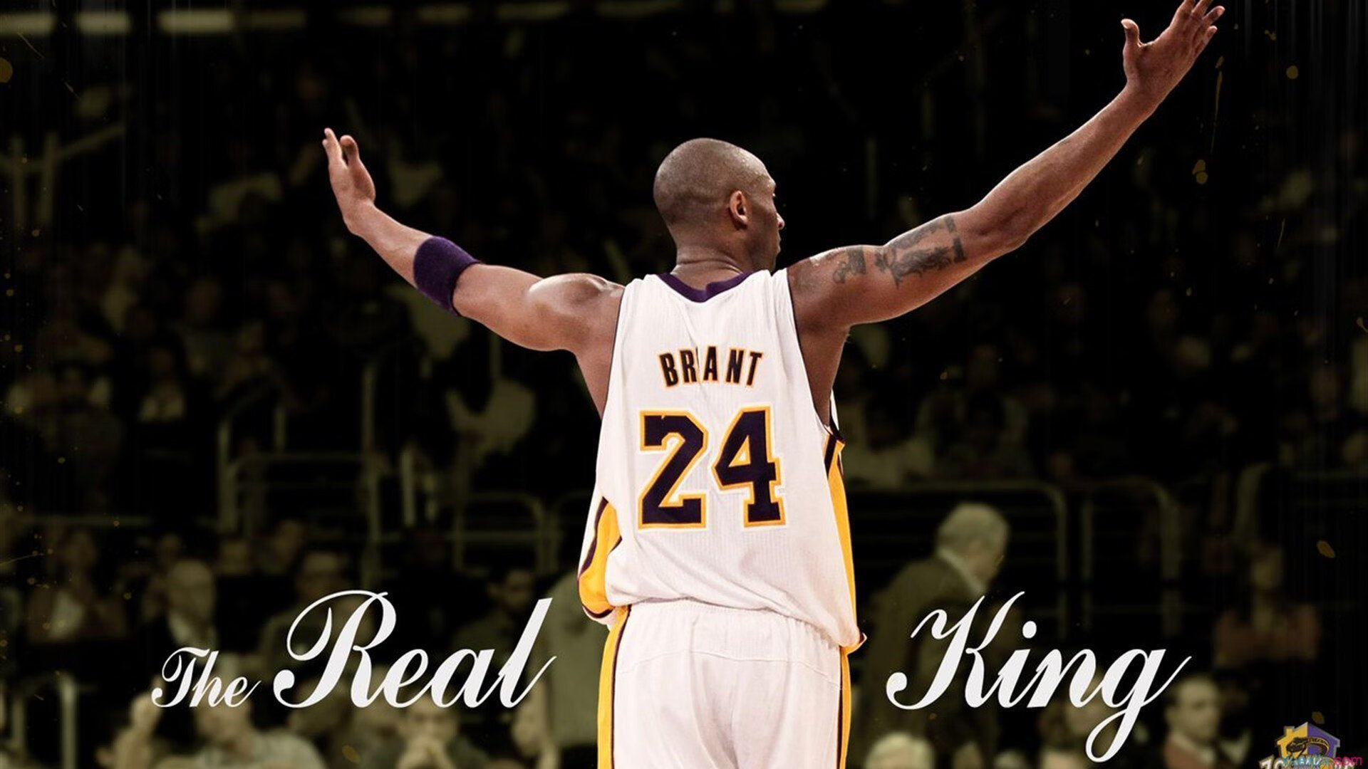 双城记，锡安暴走撕裂防线，费城血战撼动雄鹿王座